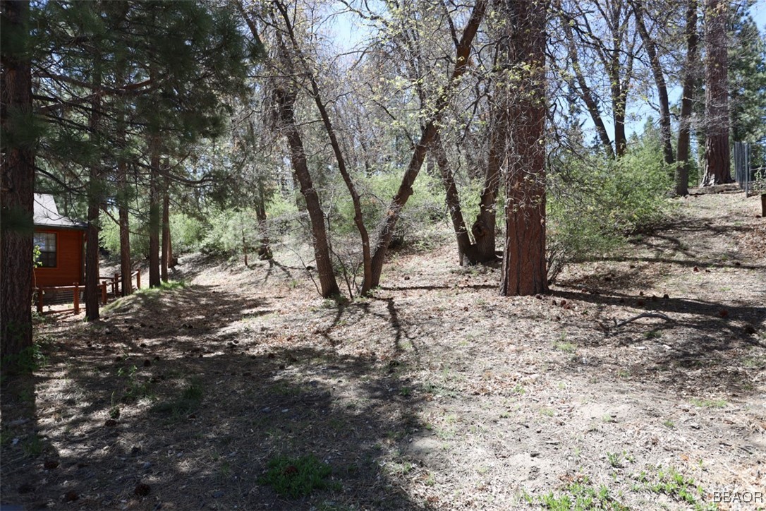 0 Avalon Property Photo 11