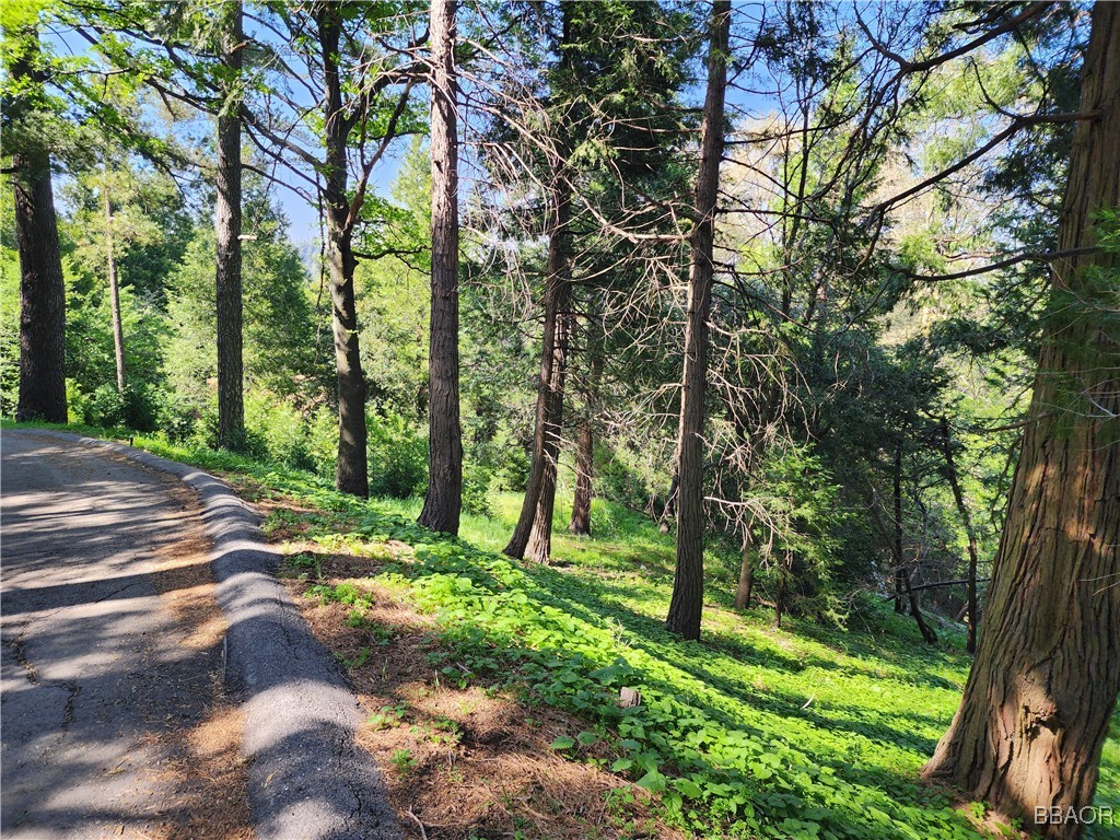 0 Deer Trail Property Photo 1