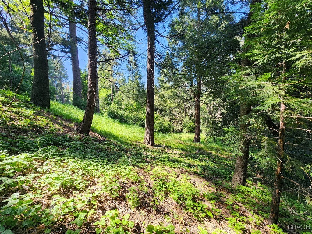 0 Deer Trail Property Photo 2