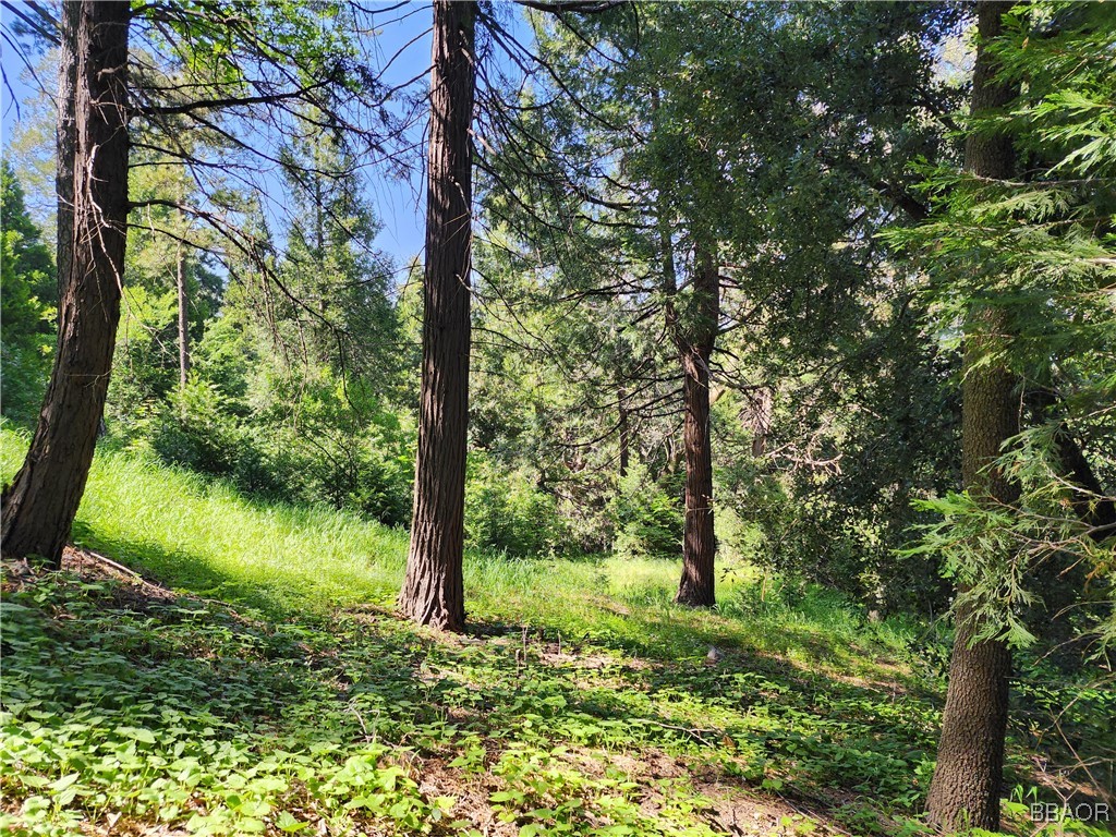 0 Deer Trail Property Photo 3
