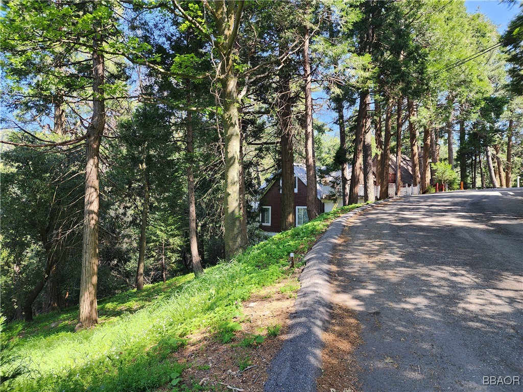 0 Deer Trail Property Photo 6