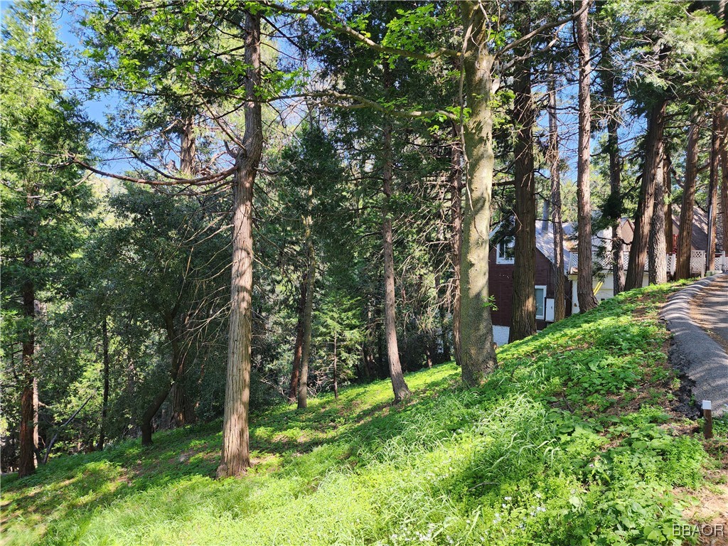 0 Deer Trail Property Photo 7