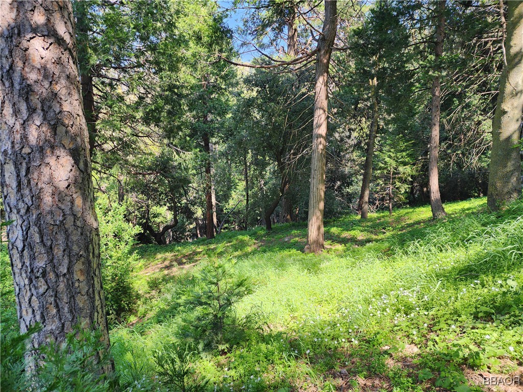 0 Deer Trail Property Photo 8