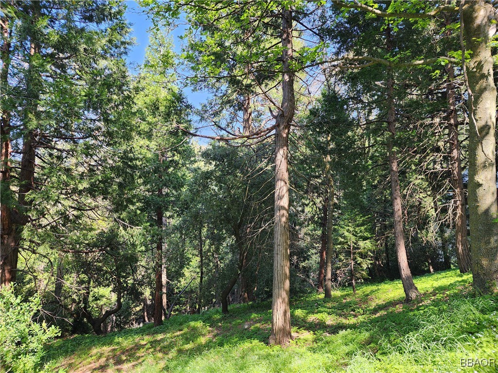 0 Deer Trail Property Photo 9