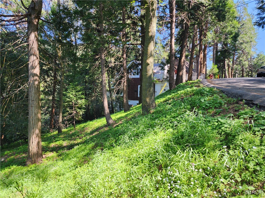 0 Deer Trail Property Photo 10