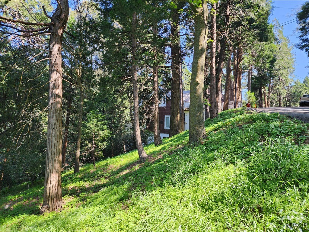 0 Deer Trail Property Photo 11