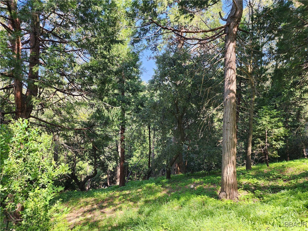 0 Deer Trail Property Photo 12