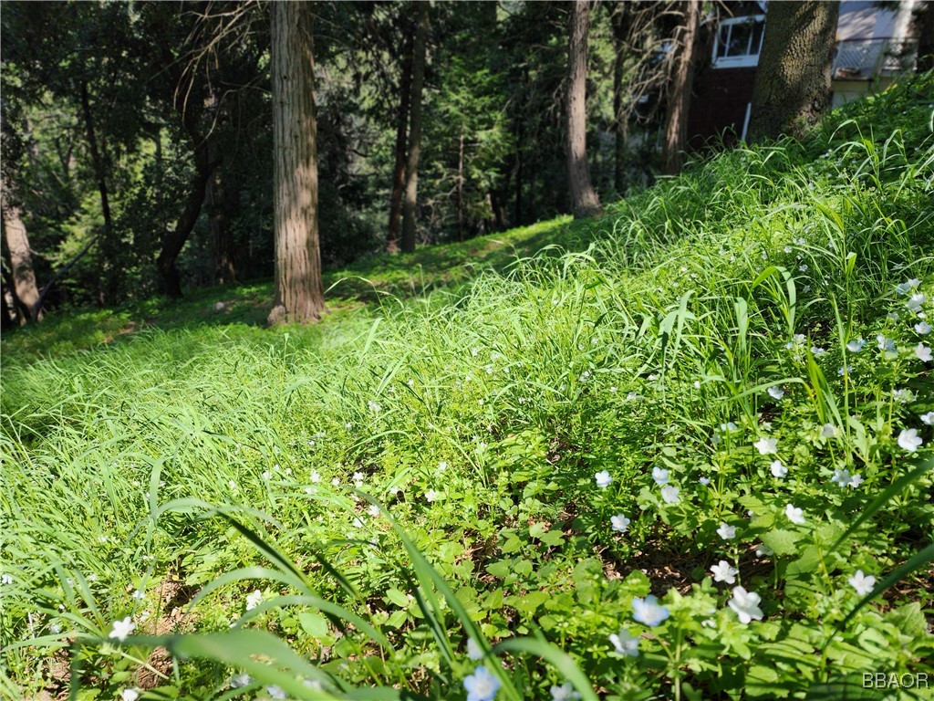 0 Deer Trail Property Photo 13