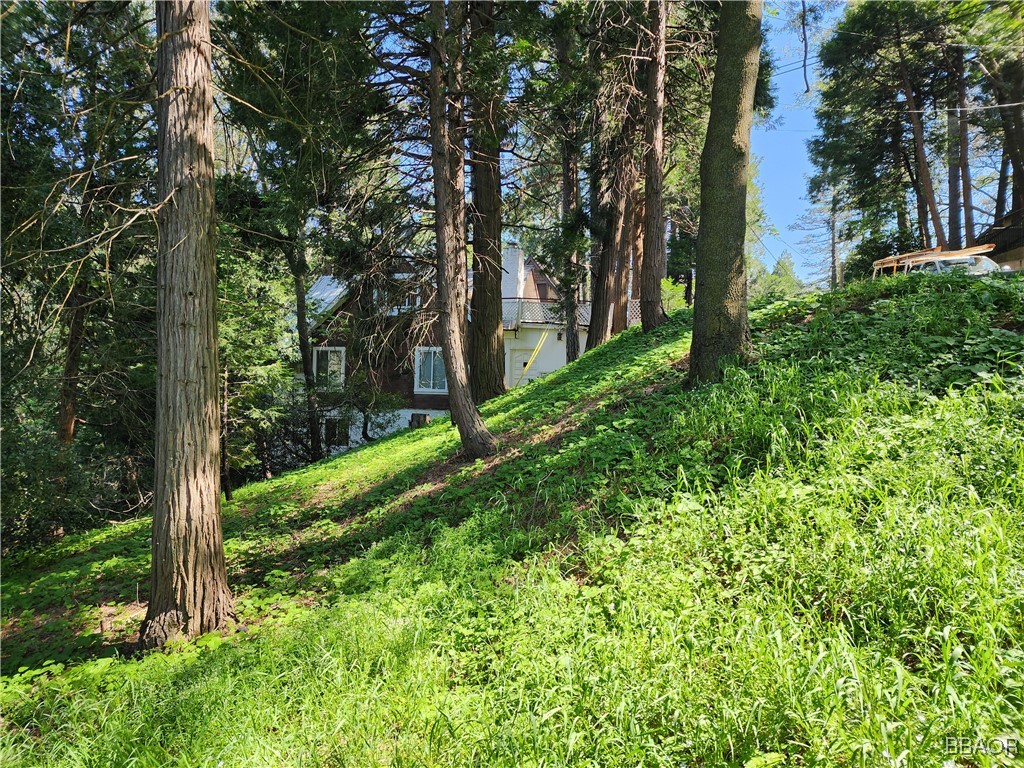0 Deer Trail Property Photo 14