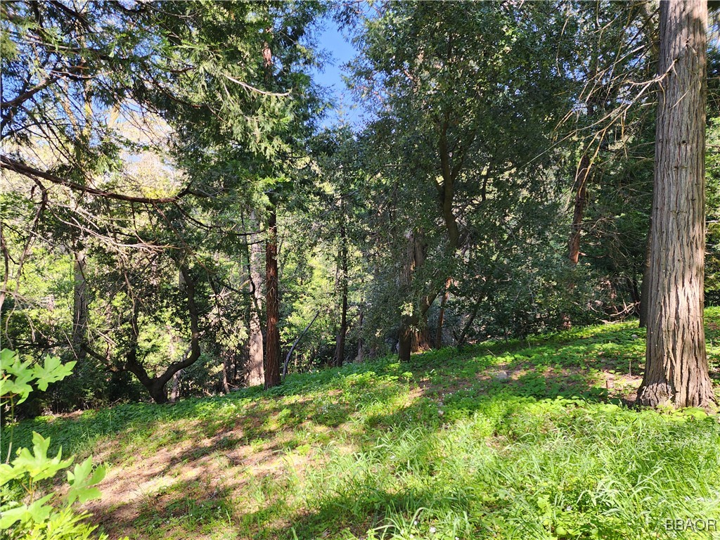 0 Deer Trail Property Photo 15