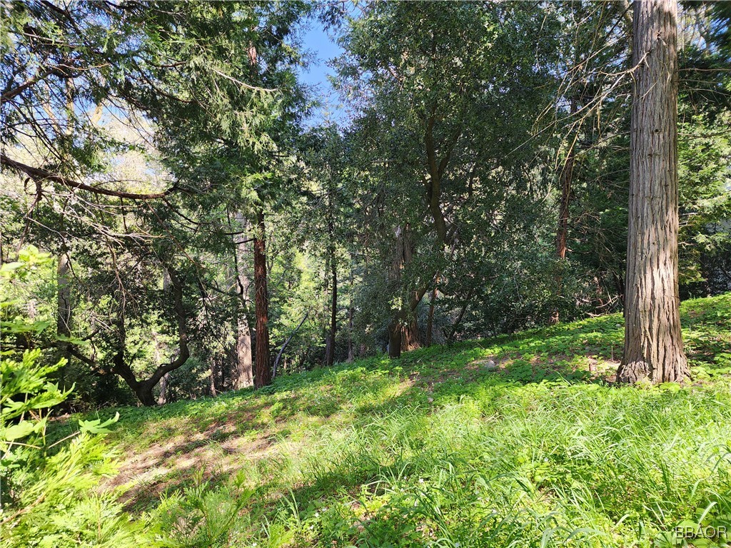 0 Deer Trail Property Photo 16