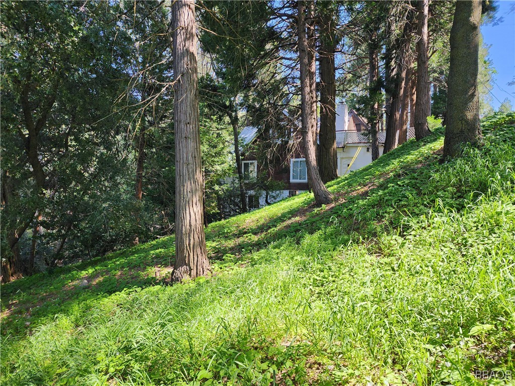 0 Deer Trail Property Photo 17