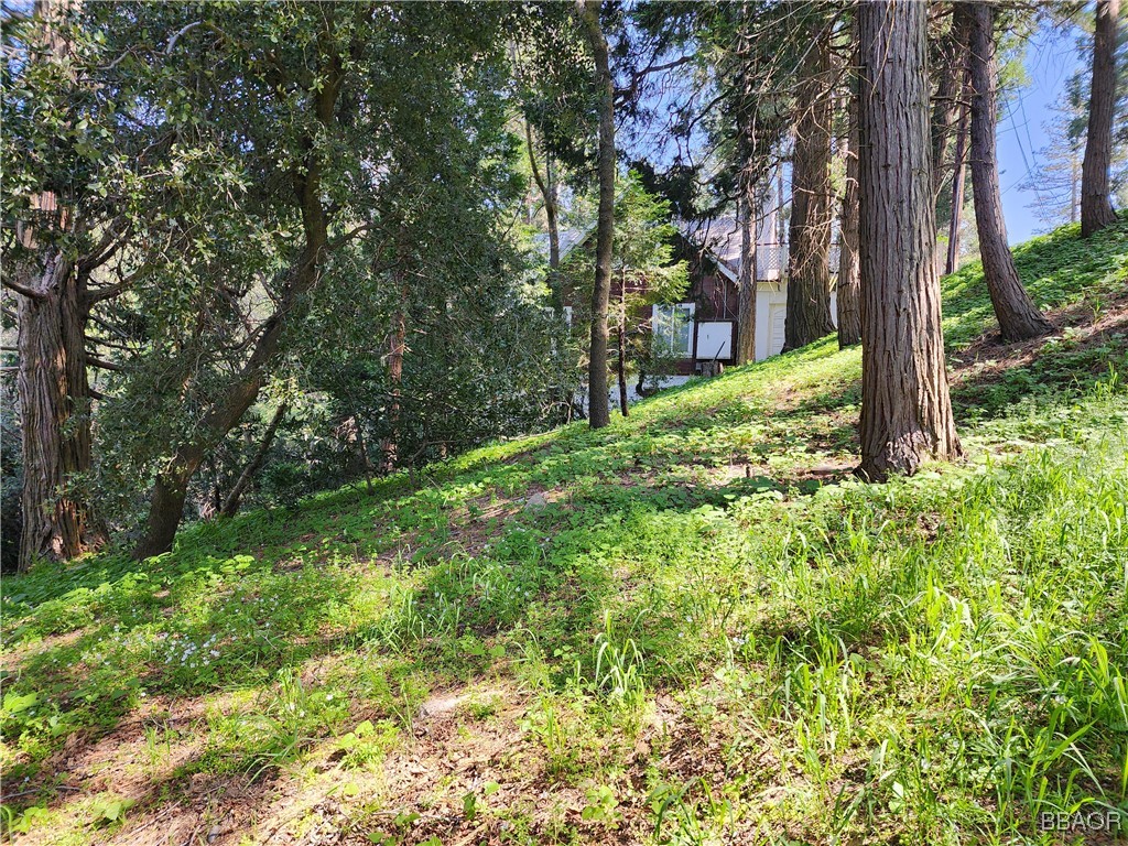 0 Deer Trail Property Photo 18