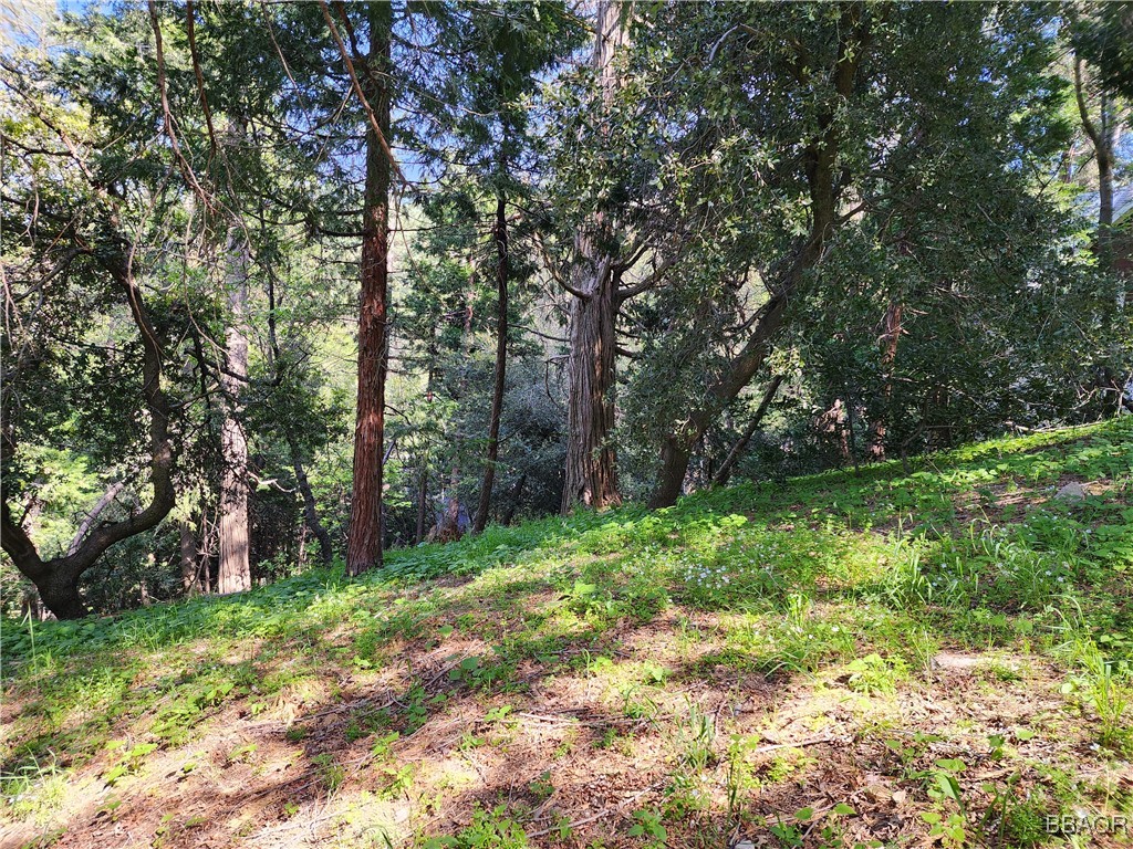 0 Deer Trail Property Photo 19