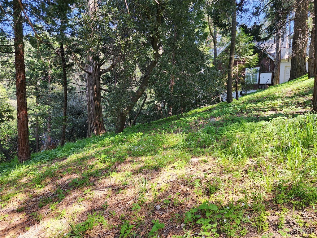 0 Deer Trail Property Photo 20