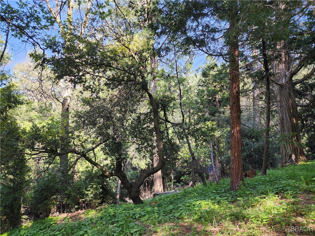 0 Deer Trail Property Photo 21