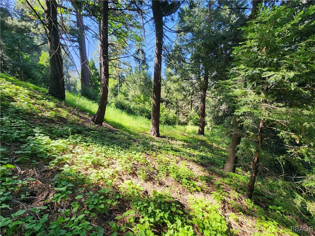 0 Deer Trail Property Photo 22