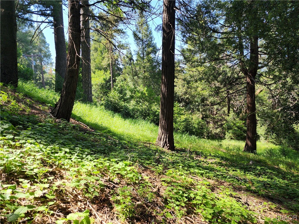0 Deer Trail Property Photo 23