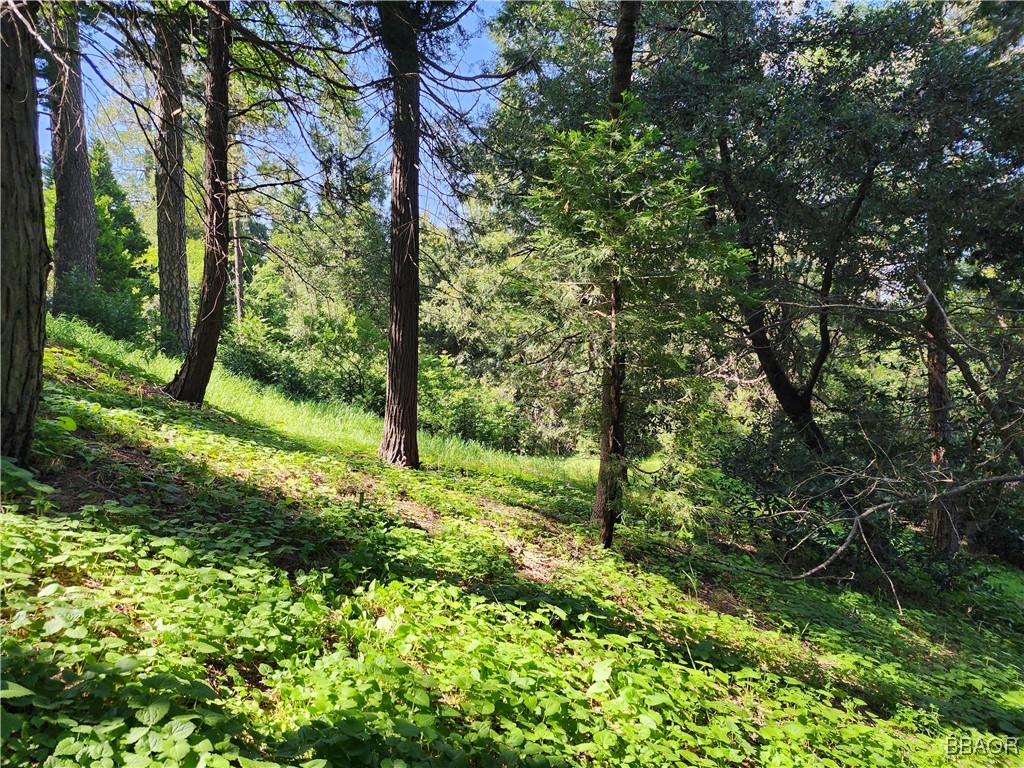 0 Deer Trail Property Photo 24