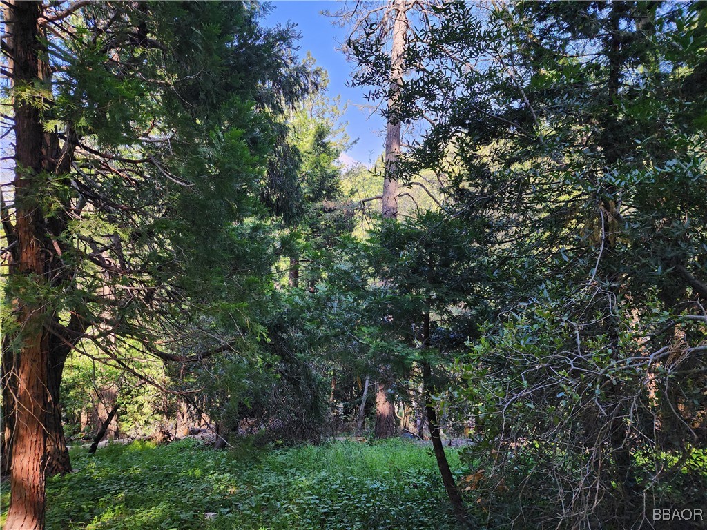 0 Deer Trail Property Photo 25