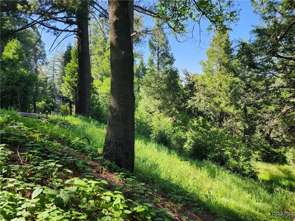 0 Deer Trail Property Photo 26