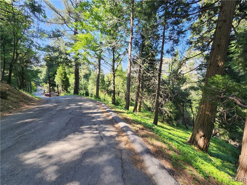 0 Deer Trail Property Photo 31