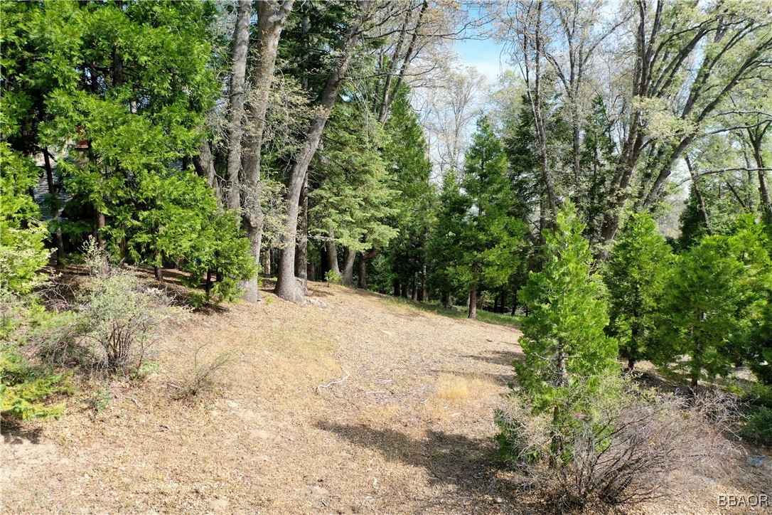399 Cedar Ridge Drive Property Photo 3