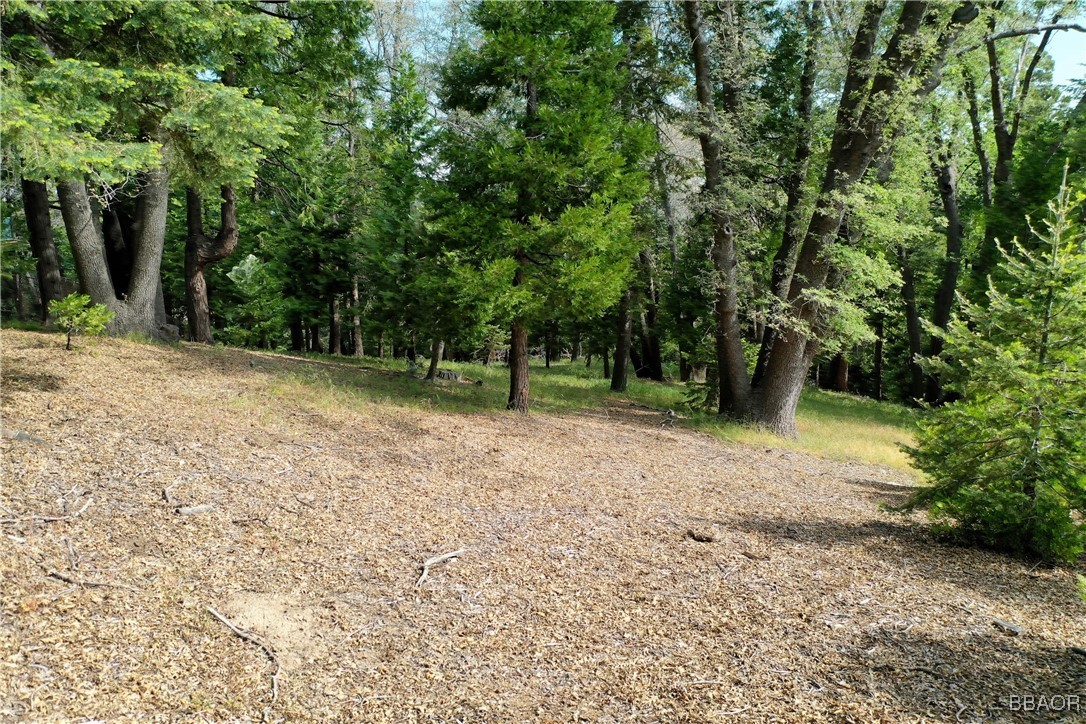 399 Cedar Ridge Drive Property Photo 5