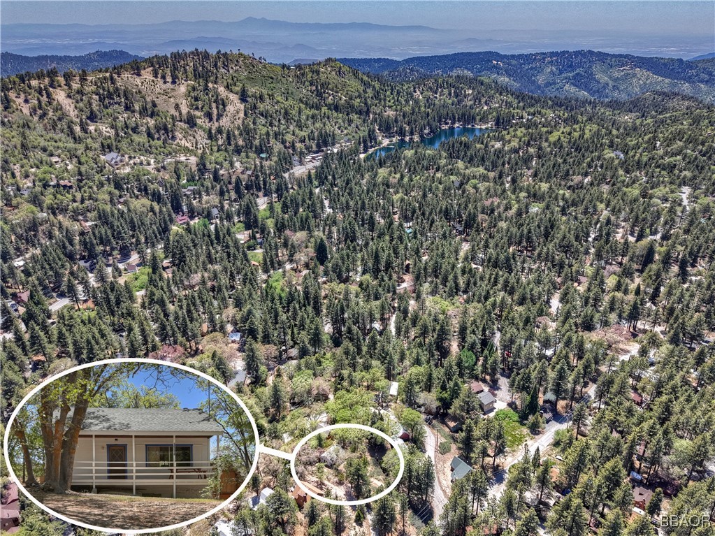 33521 Holcomb Creek Drive Property Photo 4