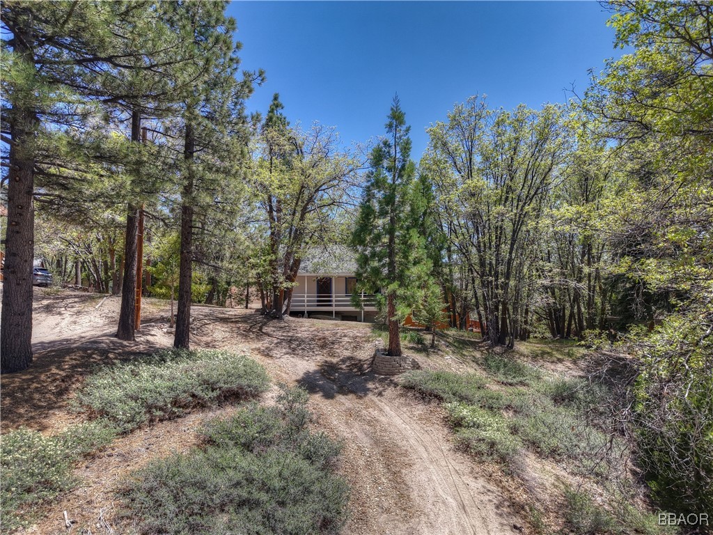 33521 Holcomb Creek Drive Property Photo 5