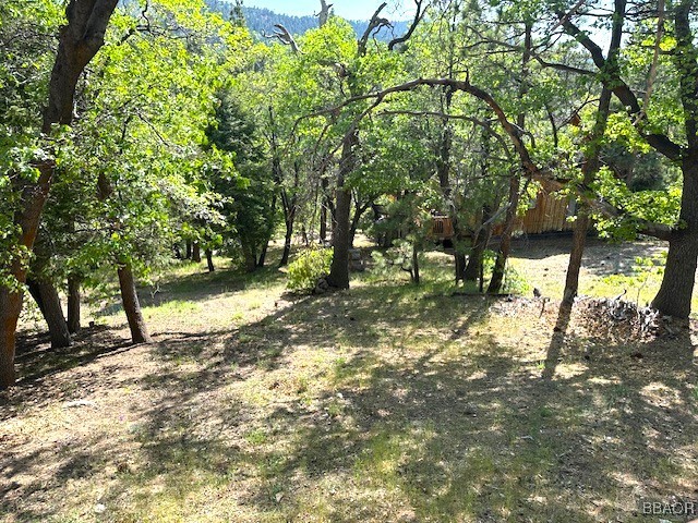 43385 Ridgecrest Drive Property Photo 18