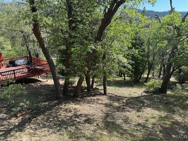 43385 Ridgecrest Drive Property Photo 19