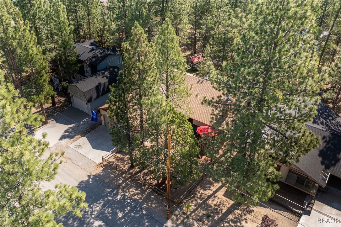 1064 Pine Lane Property Photo 6