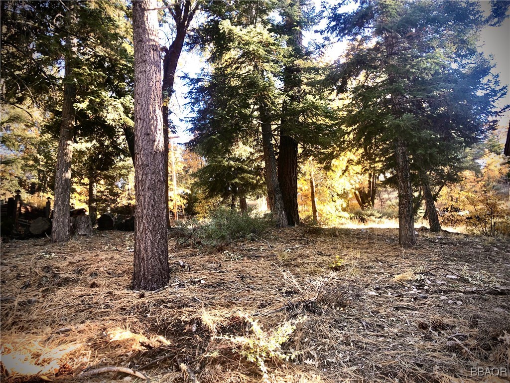 0 Raccoon Drive Property Photo 2
