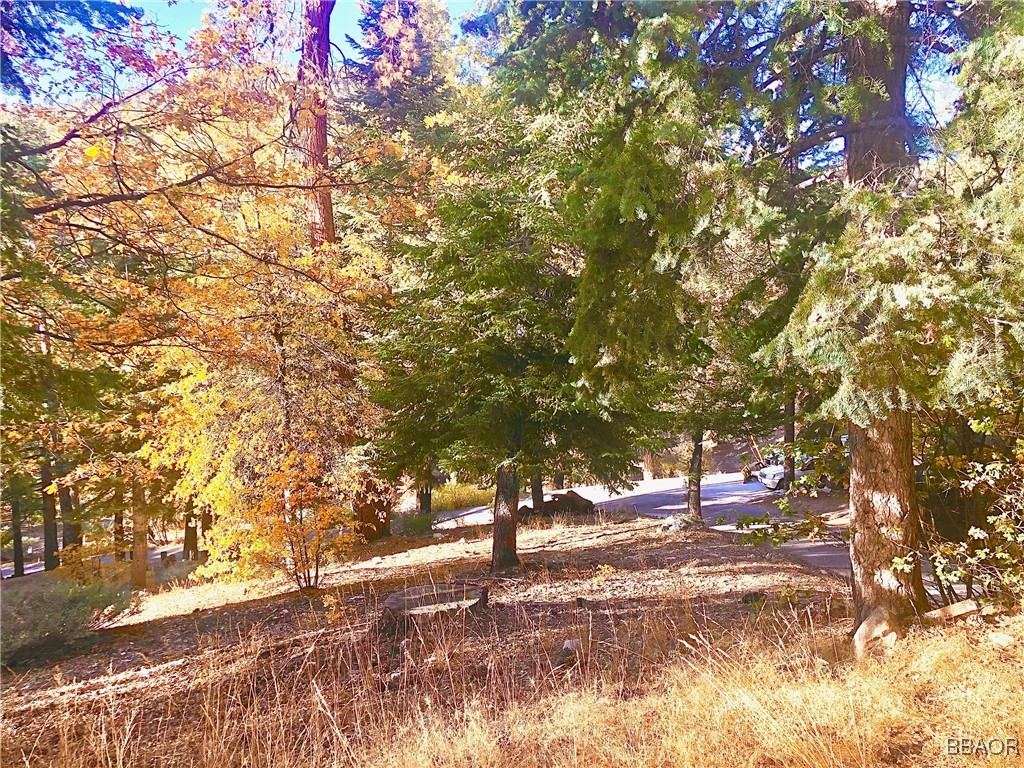 0 Raccoon Drive Property Photo 3