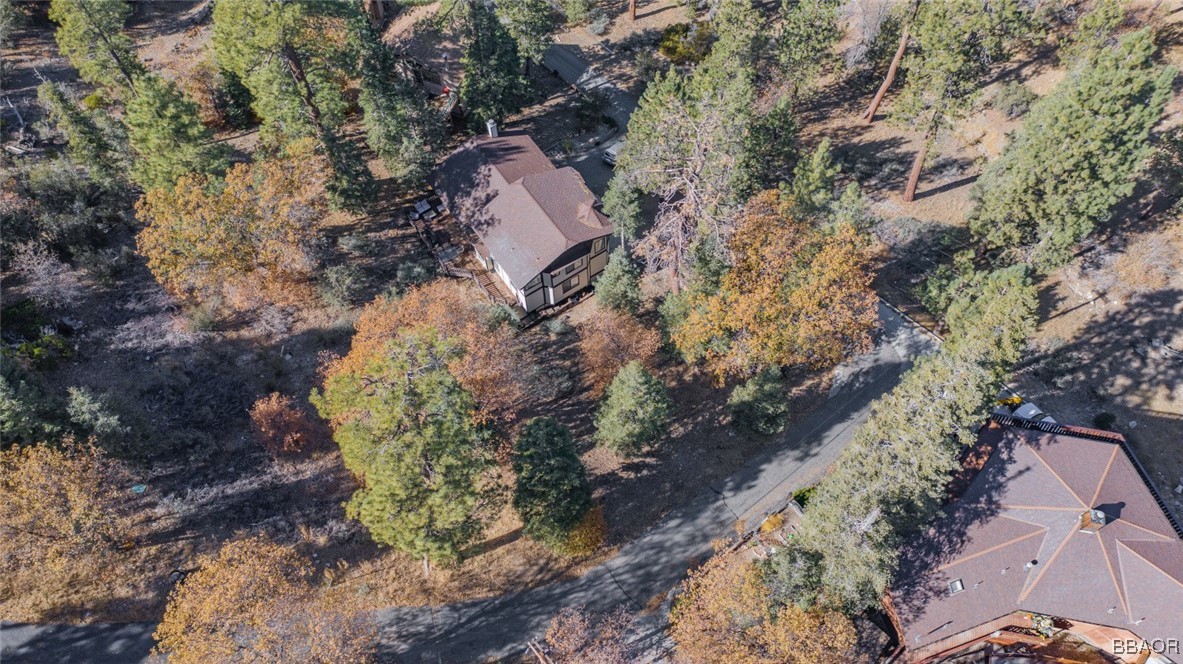 0 Raccoon Drive Property Photo 4