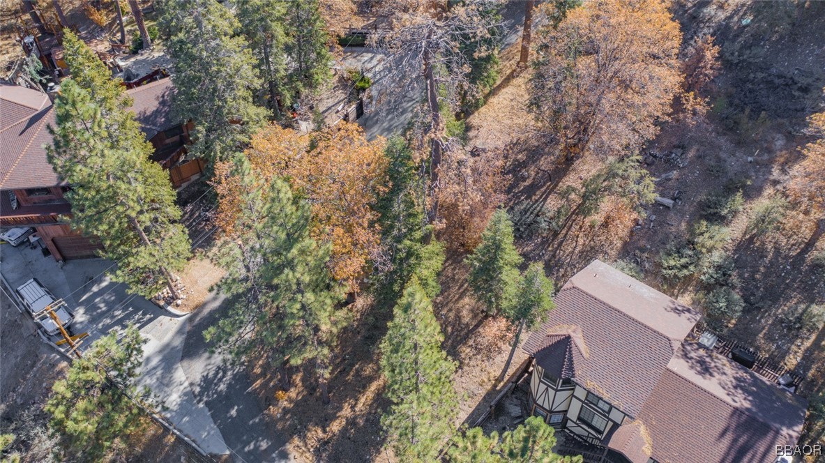 0 Raccoon Drive Property Photo 8
