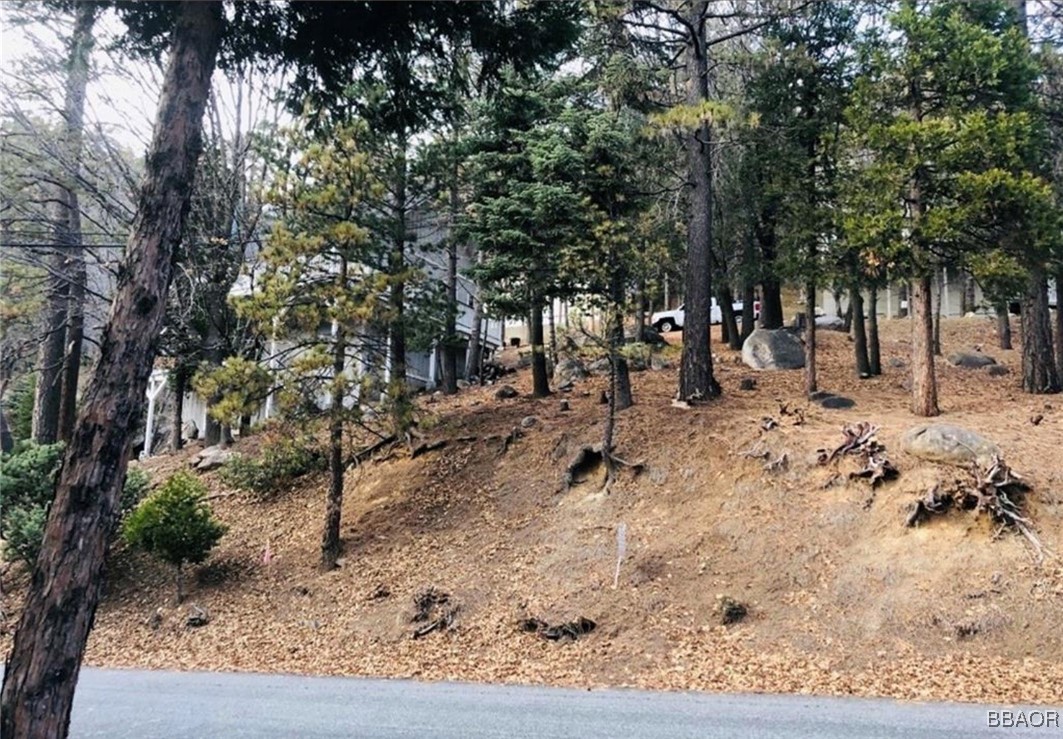 27315 Pinewood Drive Property Photo 1