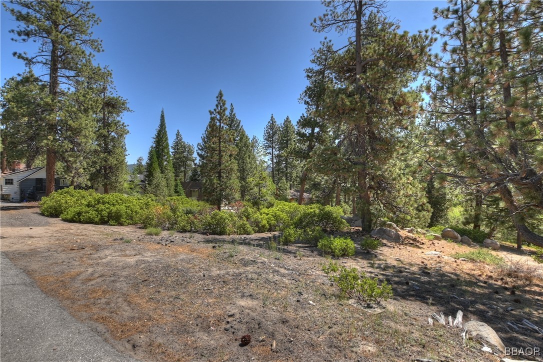 38606 Talbot Property Photo 14