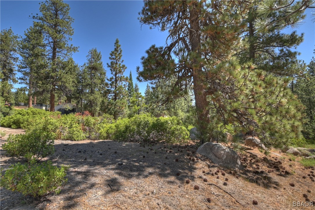 38606 Talbot Property Photo 15