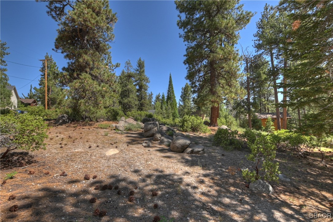 38606 Talbot Property Photo 16