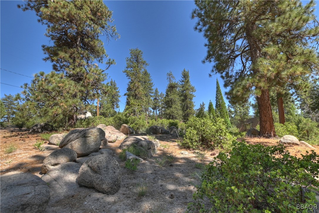 38606 Talbot Property Photo 17