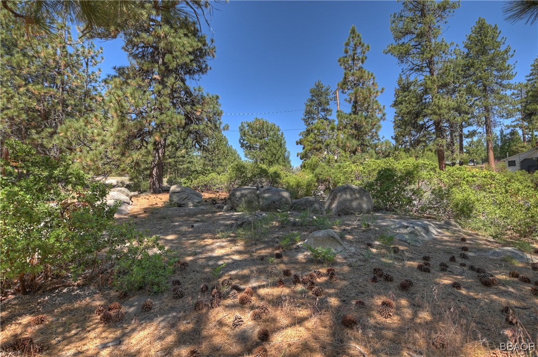 38606 Talbot Property Photo 18