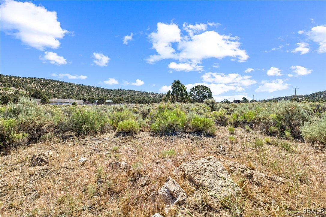 0 Benito Wilson Property Photo 3