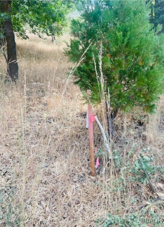 508 Redwood Road Property Photo 11
