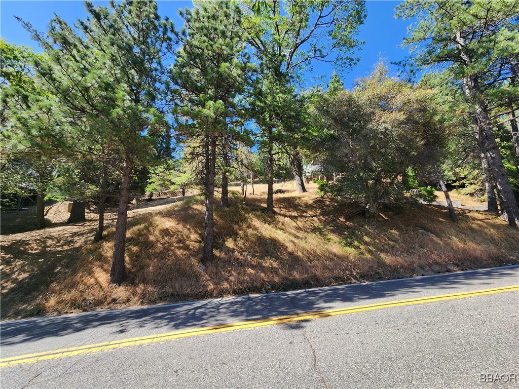 1000 Pines Road Property Photo 1