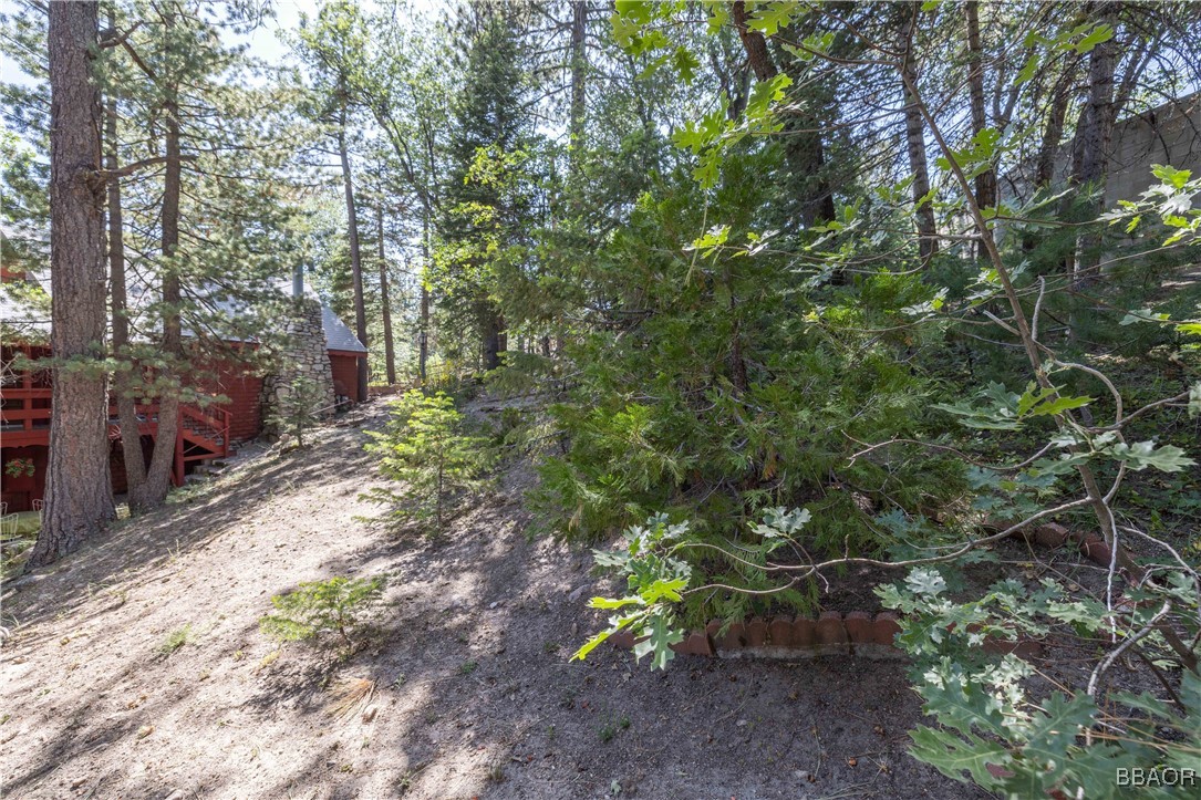 32825 Deer Lick Drive Property Photo 22