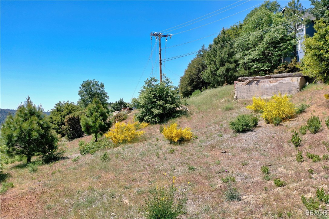 955 Sonoma Drive Property Photo 6