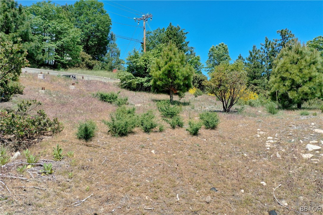 955 Sonoma Drive Property Photo 7