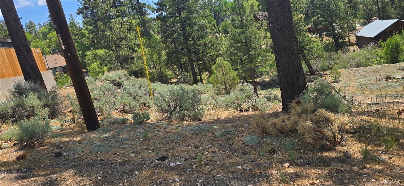 0 Grey Back Trail Property Photo 1